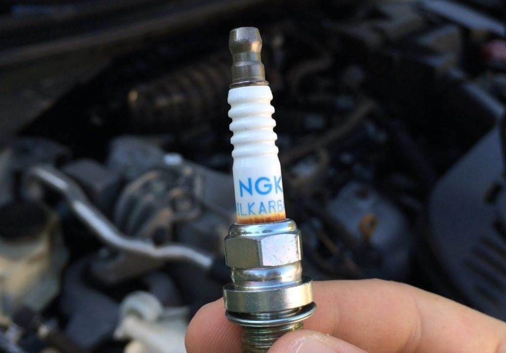 نکات مهم در نگهداری از شمع